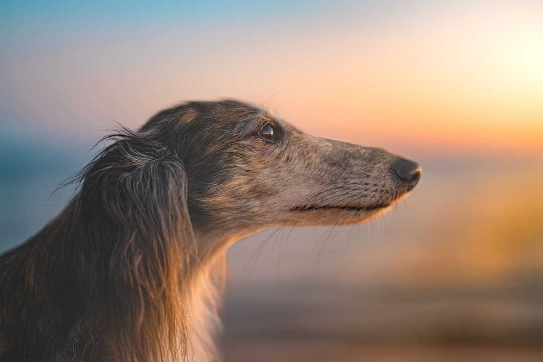 http://n.sinaimg.cn/news/transform/w600h400/20180313/LZOI-fyscsmu9330396.jpg?zdy